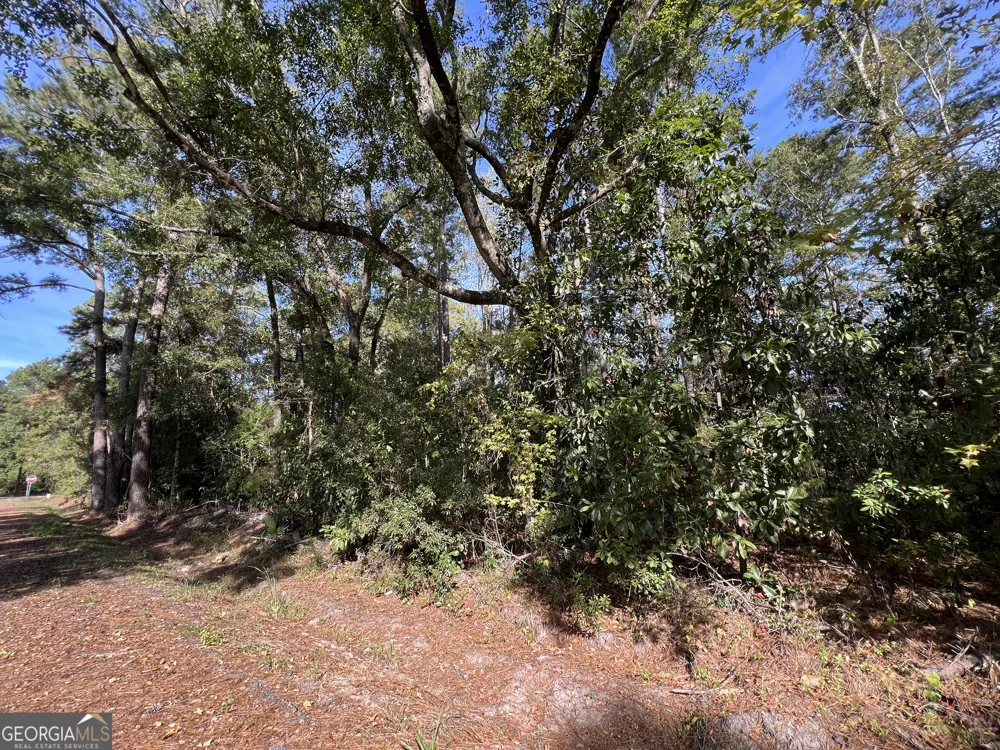 0 US Highway 17 Waverly, GA 31565