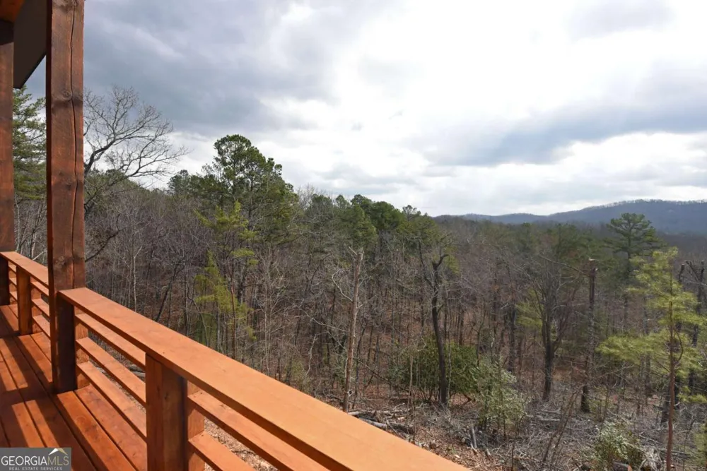 391 Crabapple LN Mineral Bluff, GA 30559