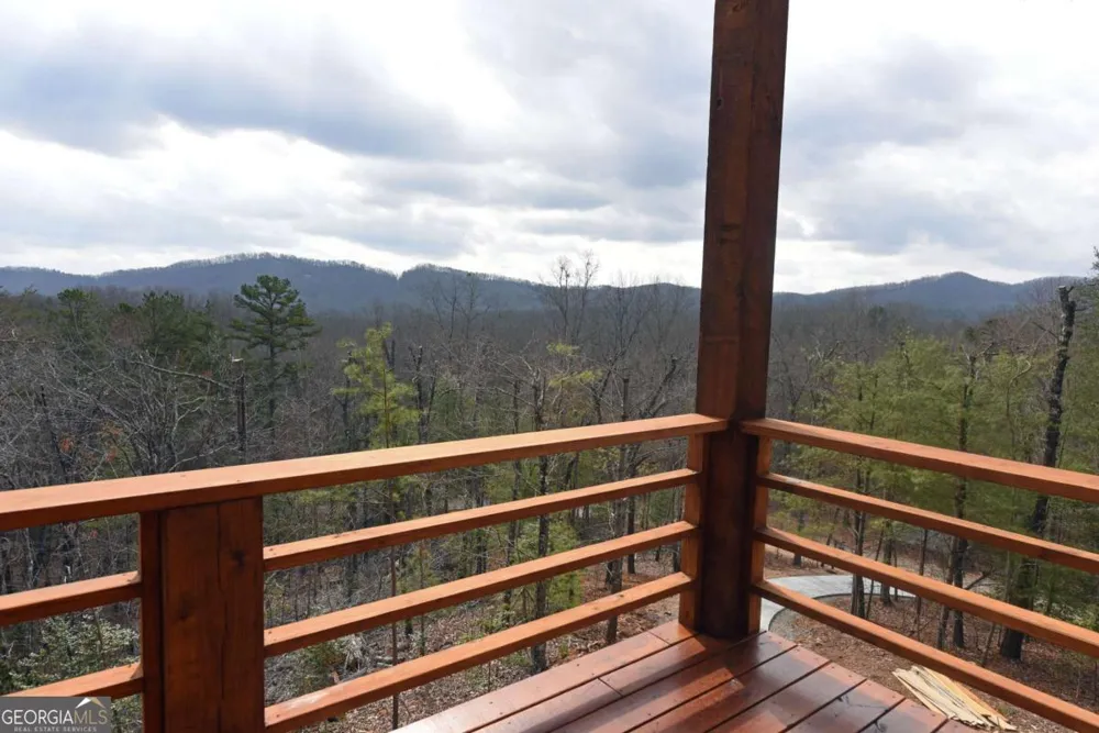 391 Crabapple LN Mineral Bluff, GA 30559