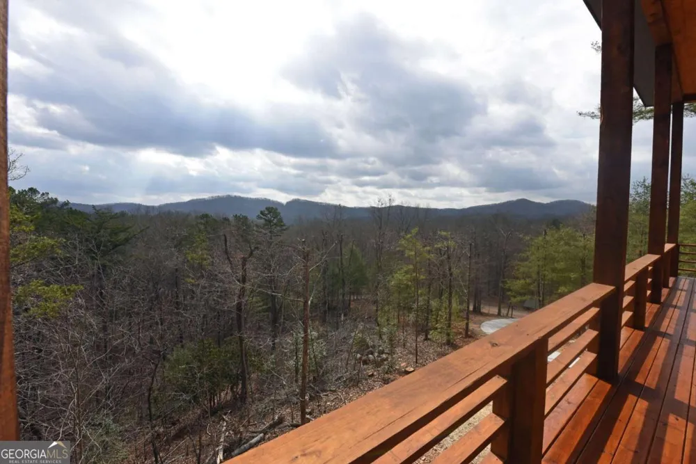 391 Crabapple LN Mineral Bluff, GA 30559