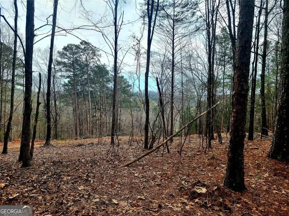 700 Gadsden RD SW Cave Spring, GA 30124