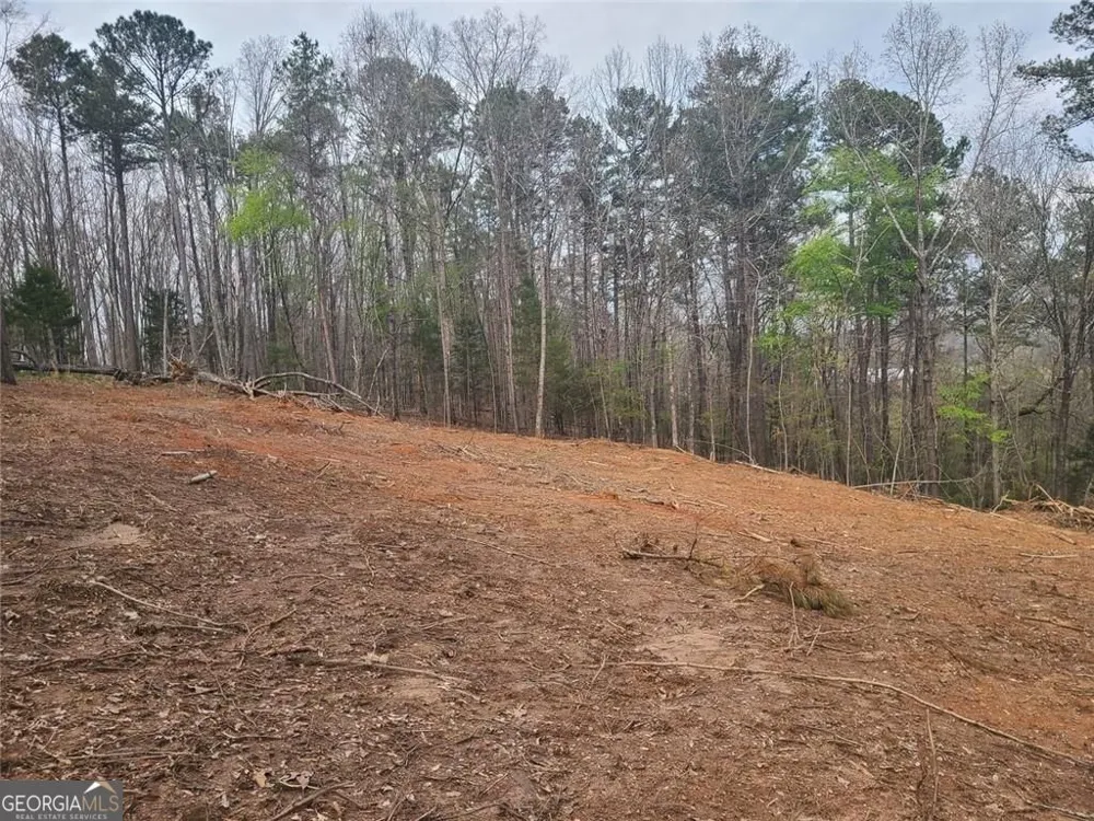 700 Gadsden RD SW Cave Spring, GA 30124