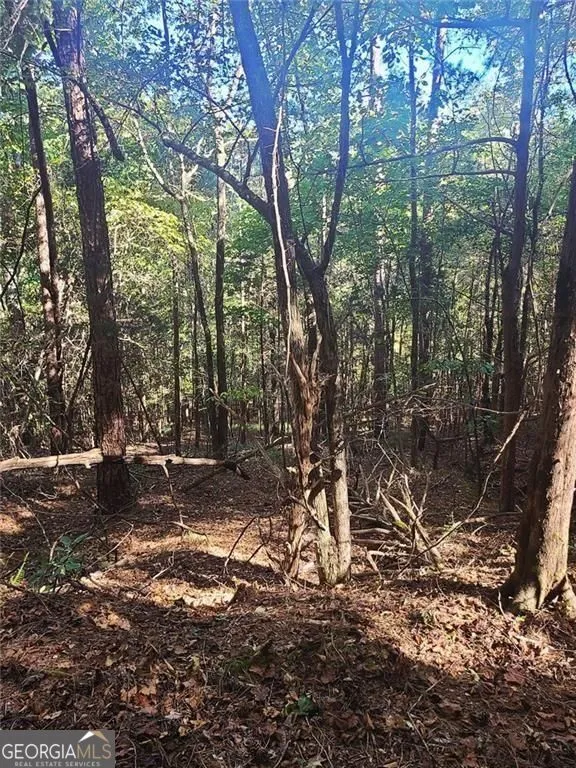 700 Gadsden RD SW Cave Spring, GA 30124
