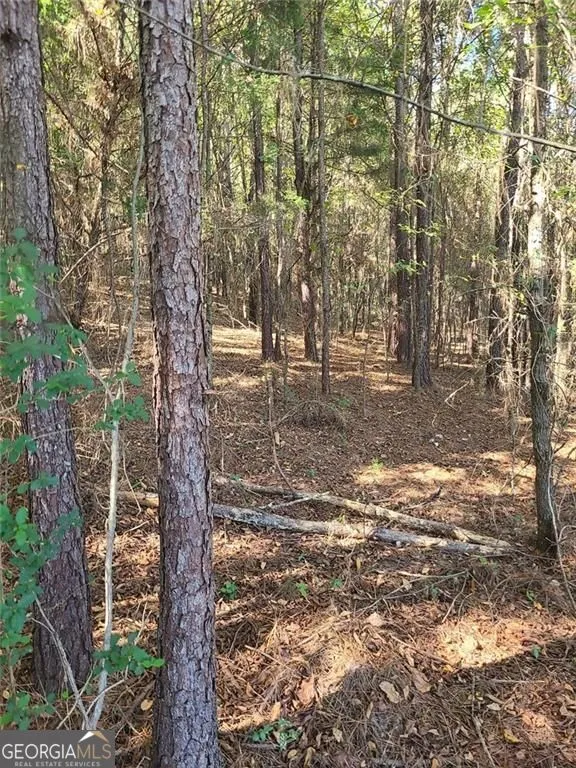 700 Gadsden RD SW Cave Spring, GA 30124