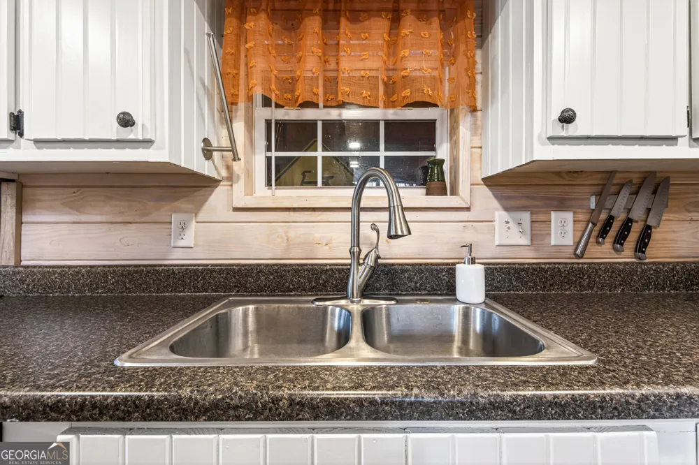 664 River Vista DR Dillard, GA 30537