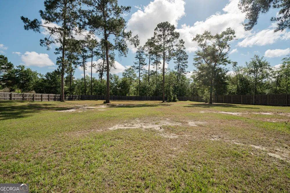 126 Harmonees WAY Ludowici, GA 31316