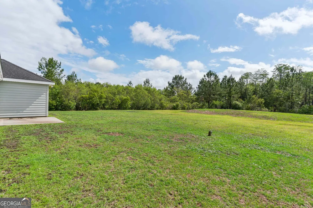 472 Hawks Landing DR Waynesville, GA 31566