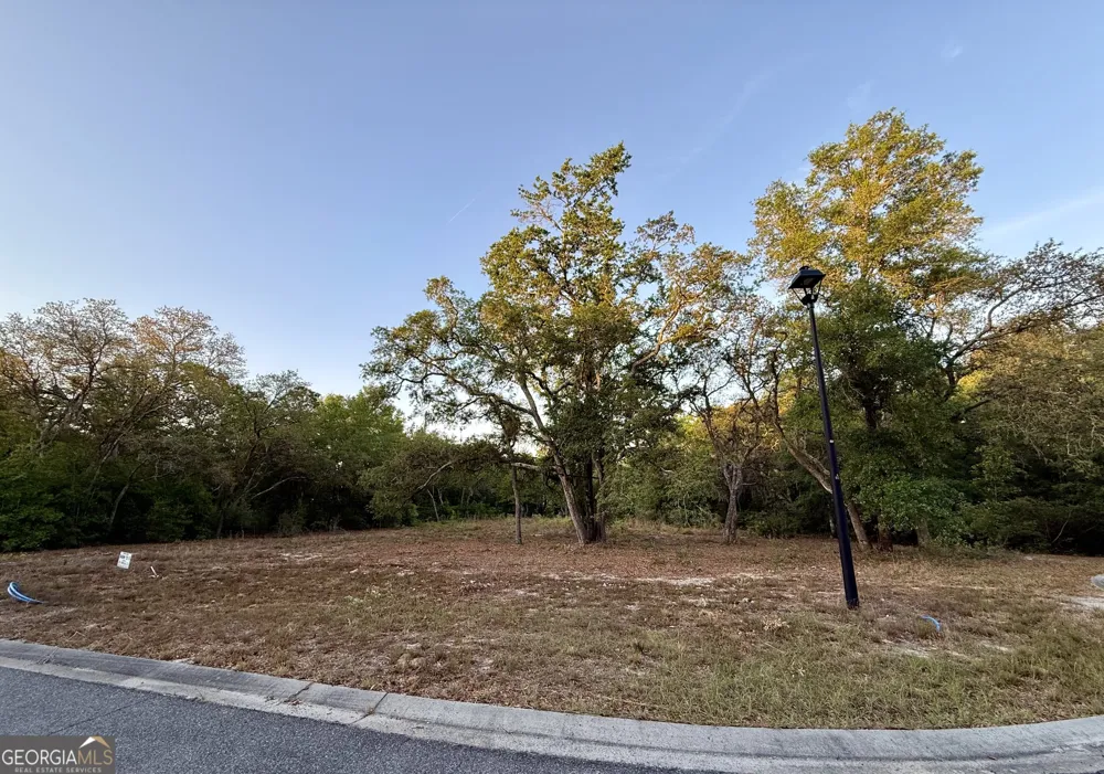6005 & 6007 Tree Top LN Blackshear, GA 31516
