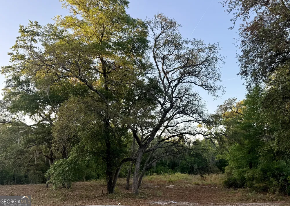 6005 & 6007 Tree Top LN Blackshear, GA 31516