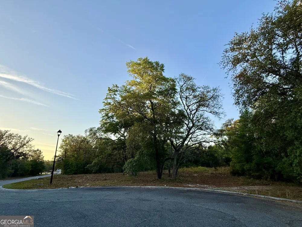 6005 & 6007 Tree Top LN Blackshear, GA 31516