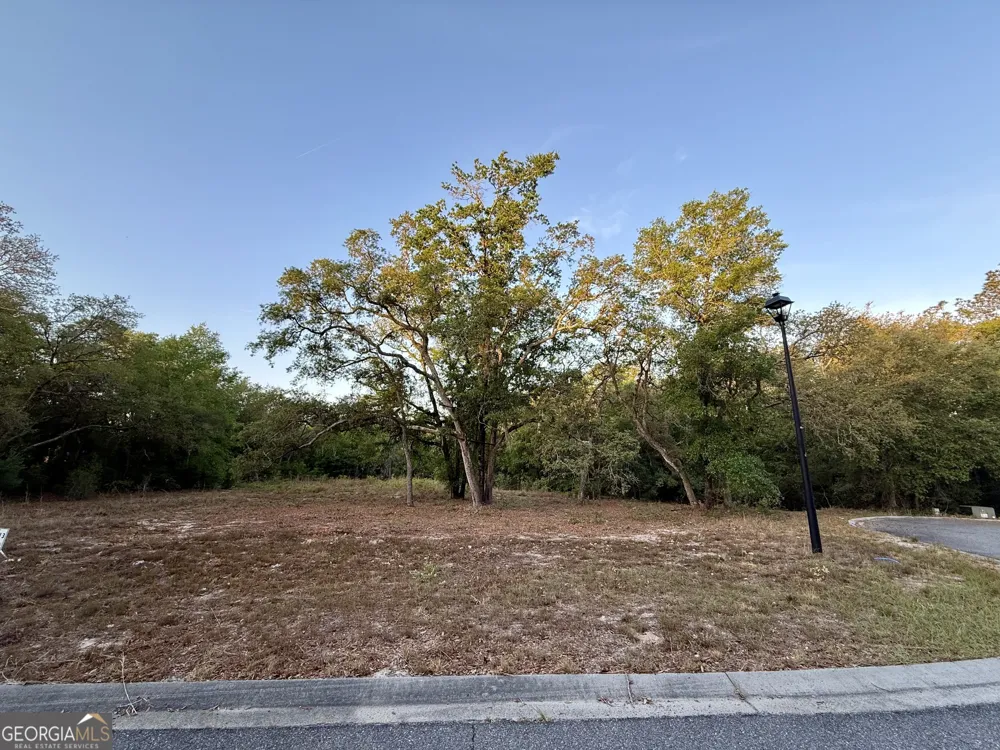 6005 & 6007 Tree Top LN Blackshear, GA 31516