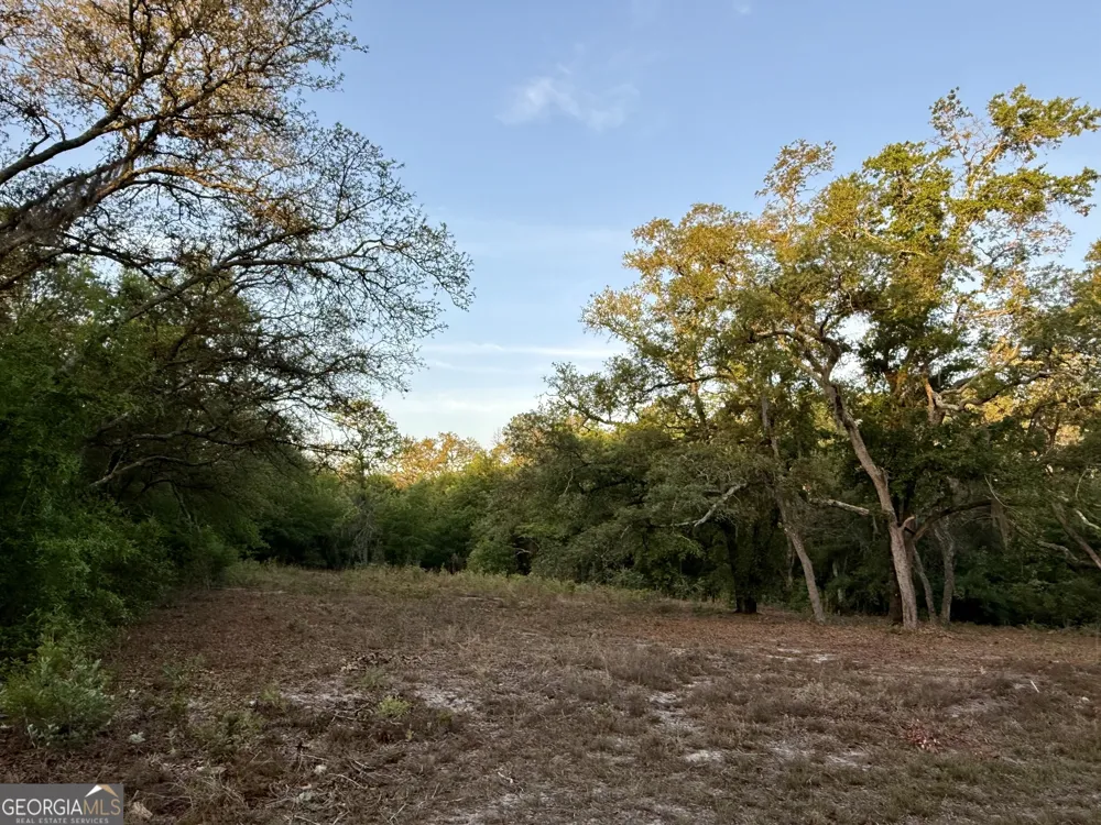 6005 & 6007 Tree Top LN Blackshear, GA 31516