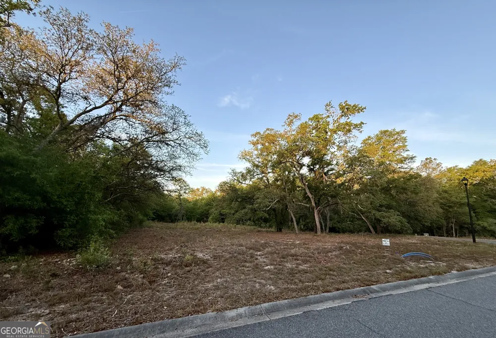 6005 & 6007 Tree Top LN Blackshear, GA 31516