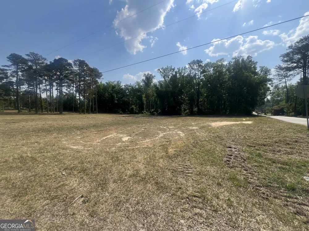 323 Forrest Clary DR Thomson, GA 30824