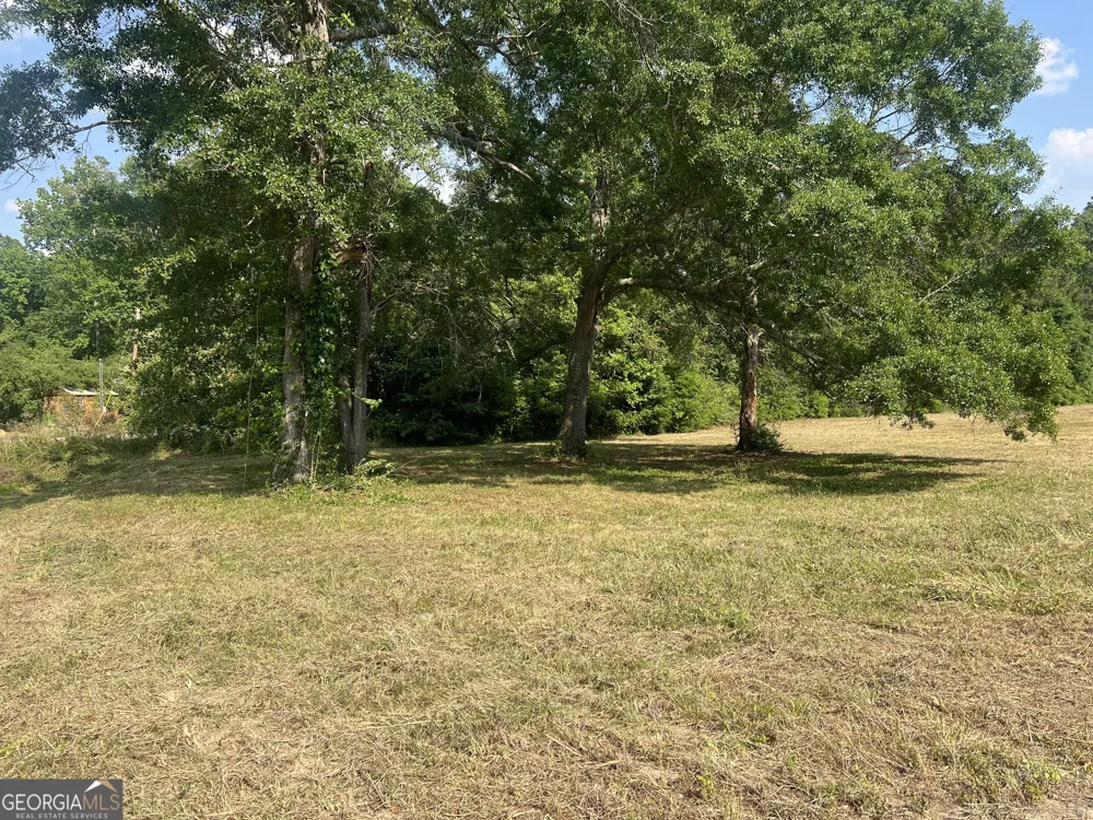 323 Forrest Clary DR Thomson, GA 30824