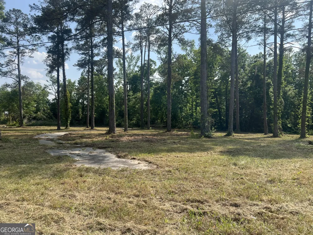 323 Forrest Clary DR Thomson, GA 30824