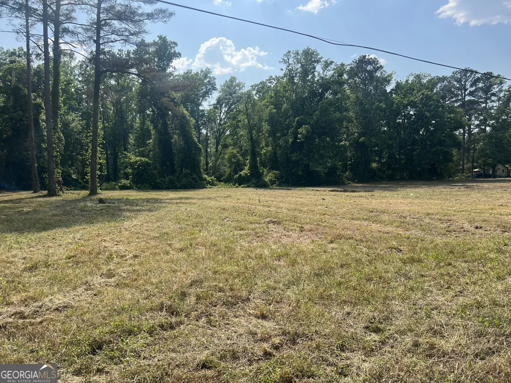 323 Forrest Clary DR Thomson, GA 30824
