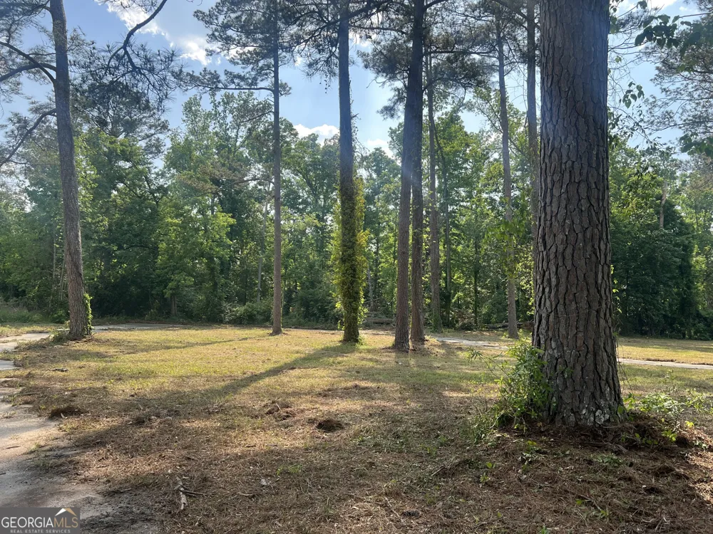 323 Forrest Clary DR Thomson, GA 30824