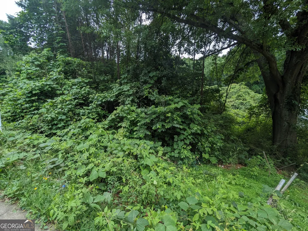 0 Dodson DR East Point, GA 30344