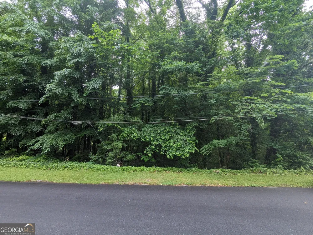 0 Dodson DR East Point, GA 30344