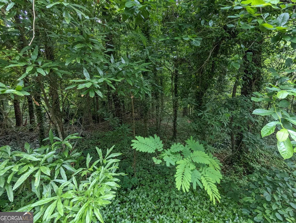0 Dodson DR East Point, GA 30344
