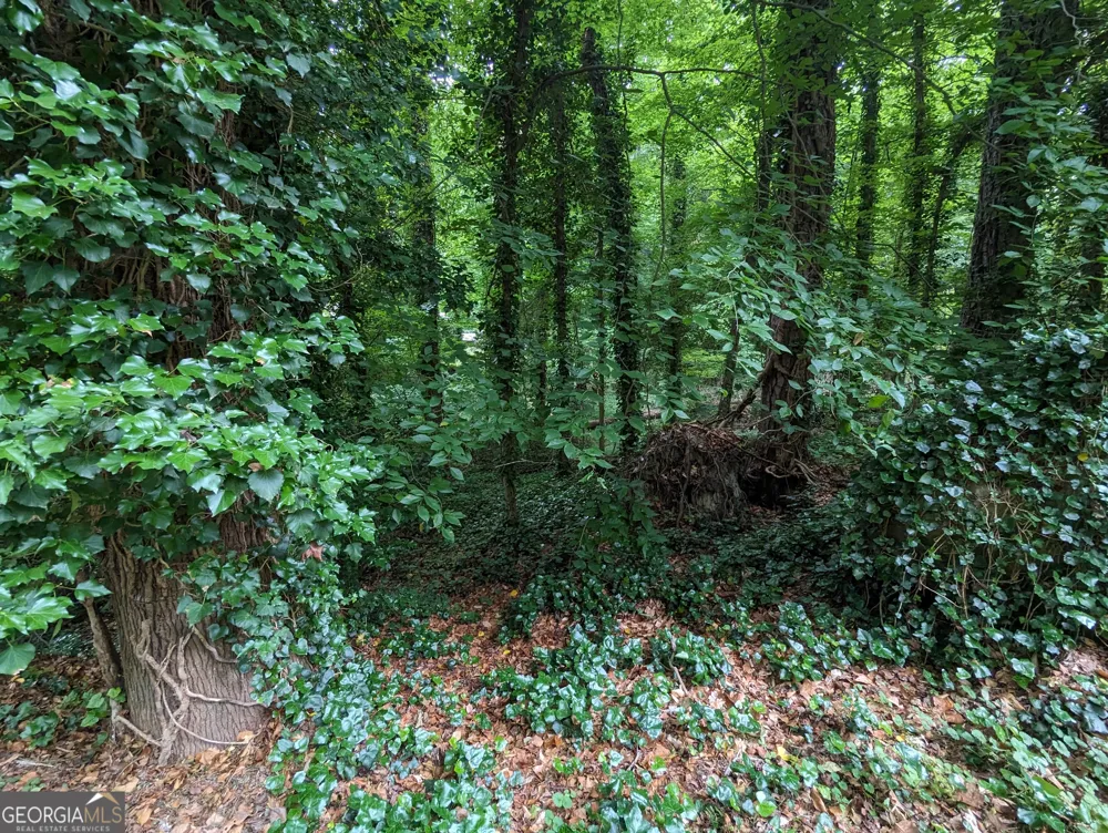 0 Dodson DR East Point, GA 30344