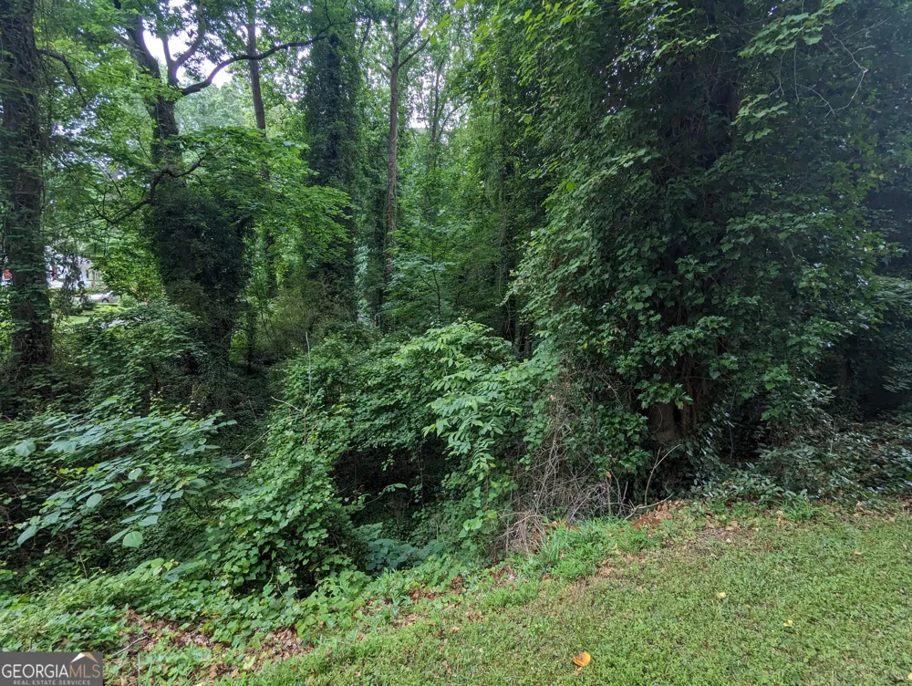 0 Dodson DR East Point, GA 30344