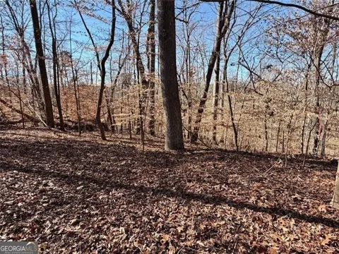 0 Arrowhead CT