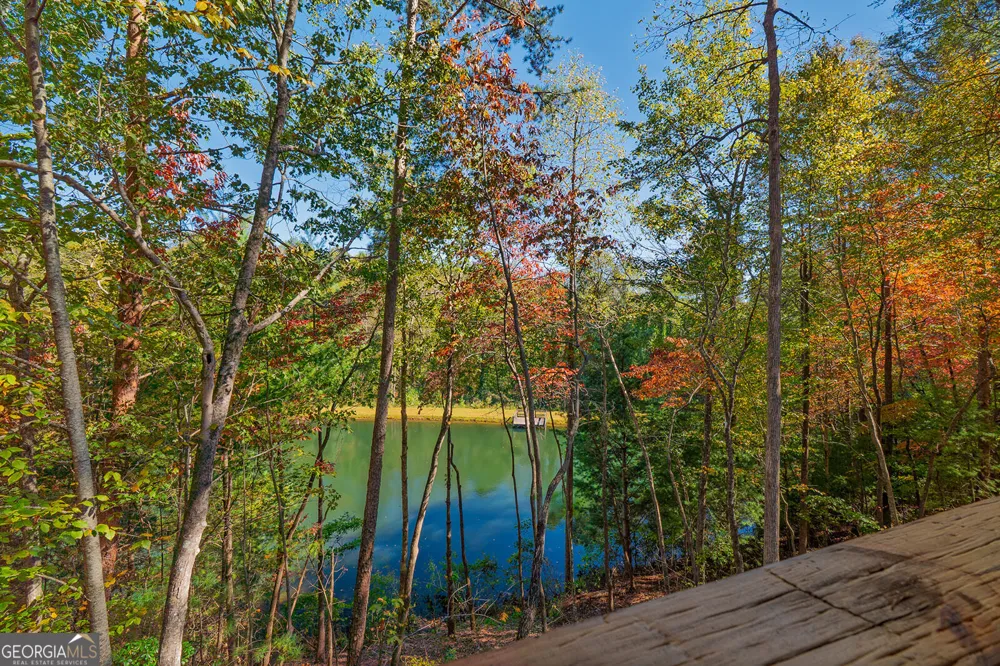 85 Moreland TRL Cherry Log, GA 30522