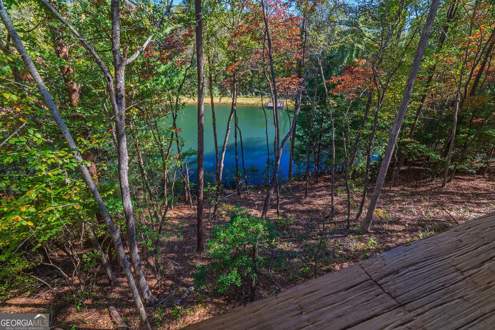 85 Moreland TRL Cherry Log, GA 30522