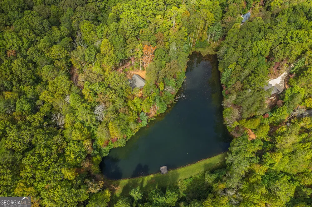 85 Moreland TRL Cherry Log, GA 30522