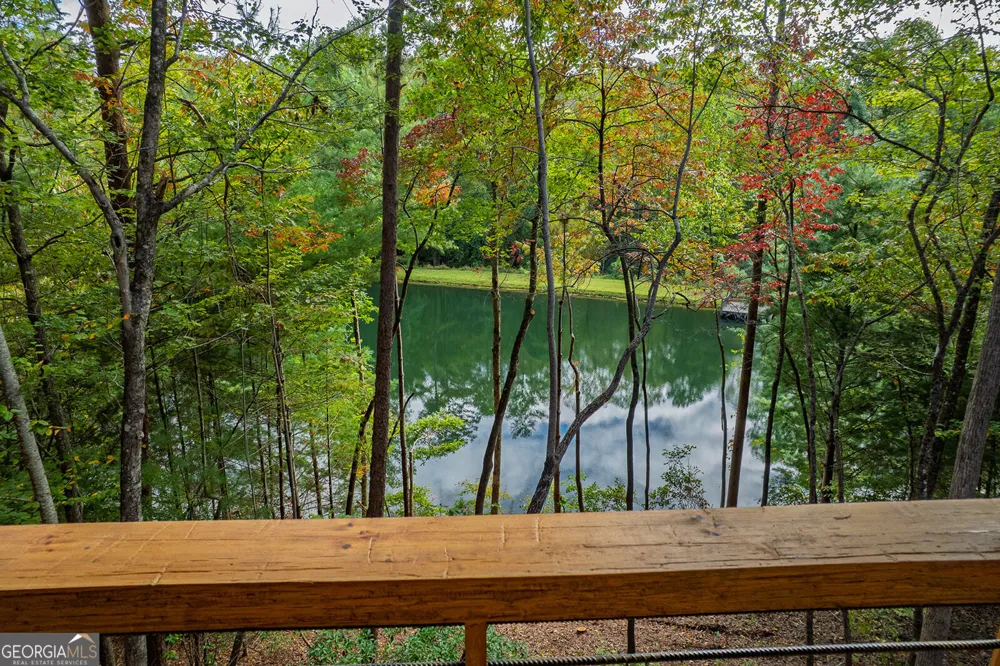 85 Moreland TRL Cherry Log, GA 30522