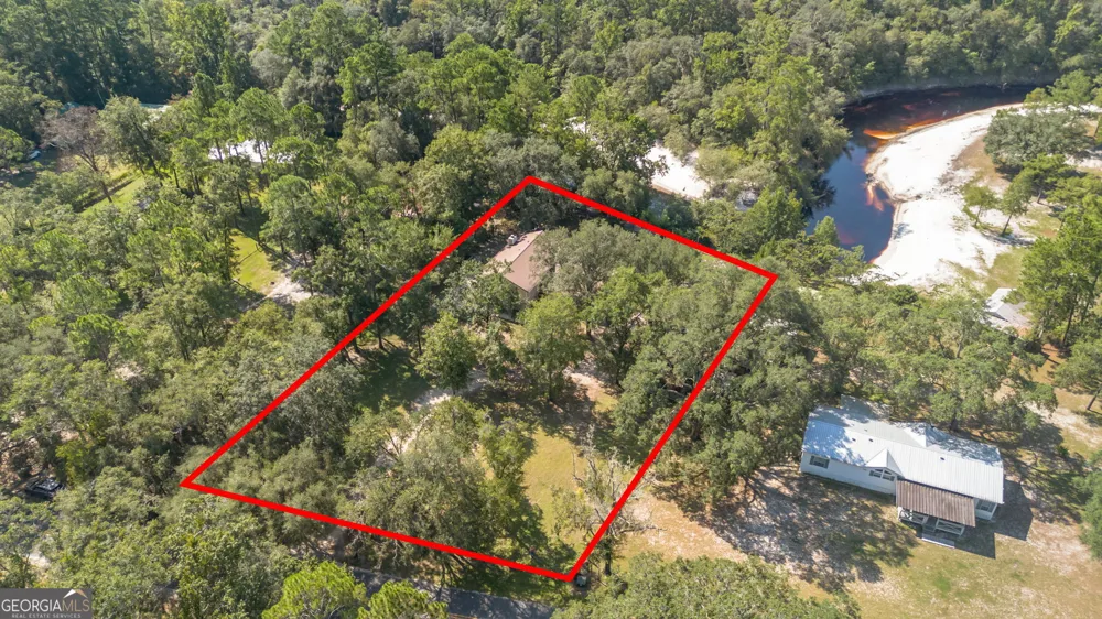 323 St Marys River Bluff RD St. George, GA 31562