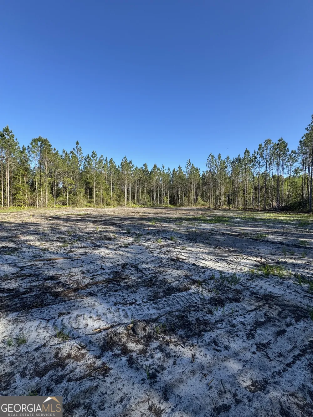 4490 Ga Highway 259 White Oak, GA 31568