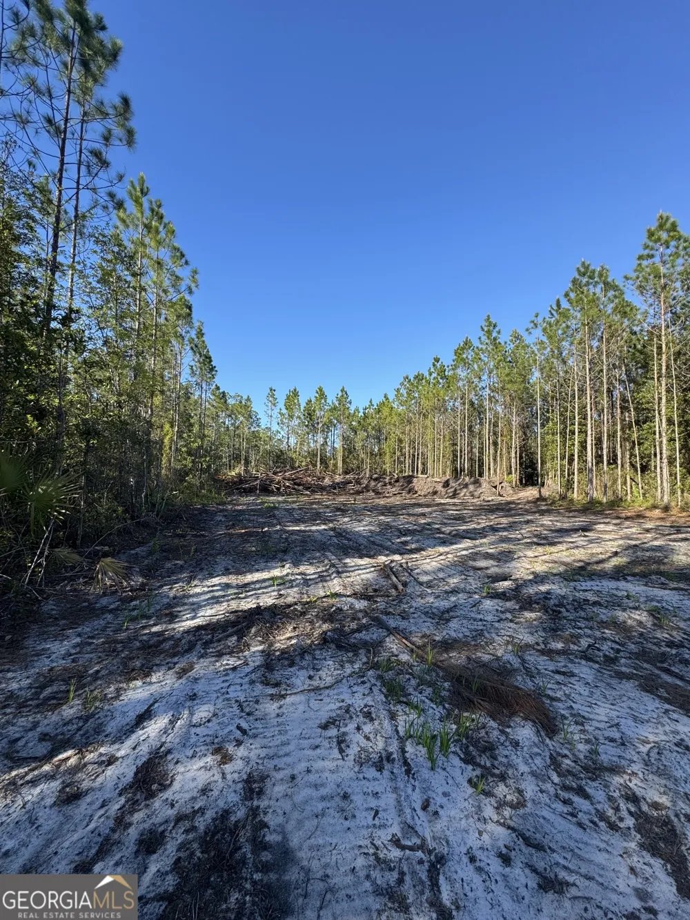 4490 Ga Highway 259 White Oak, GA 31568