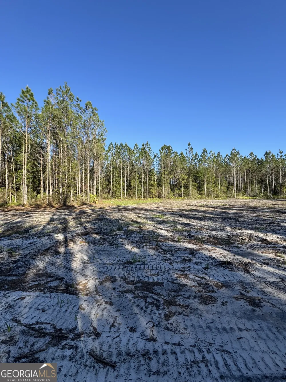 4490 Ga Highway 259 White Oak, GA 31568