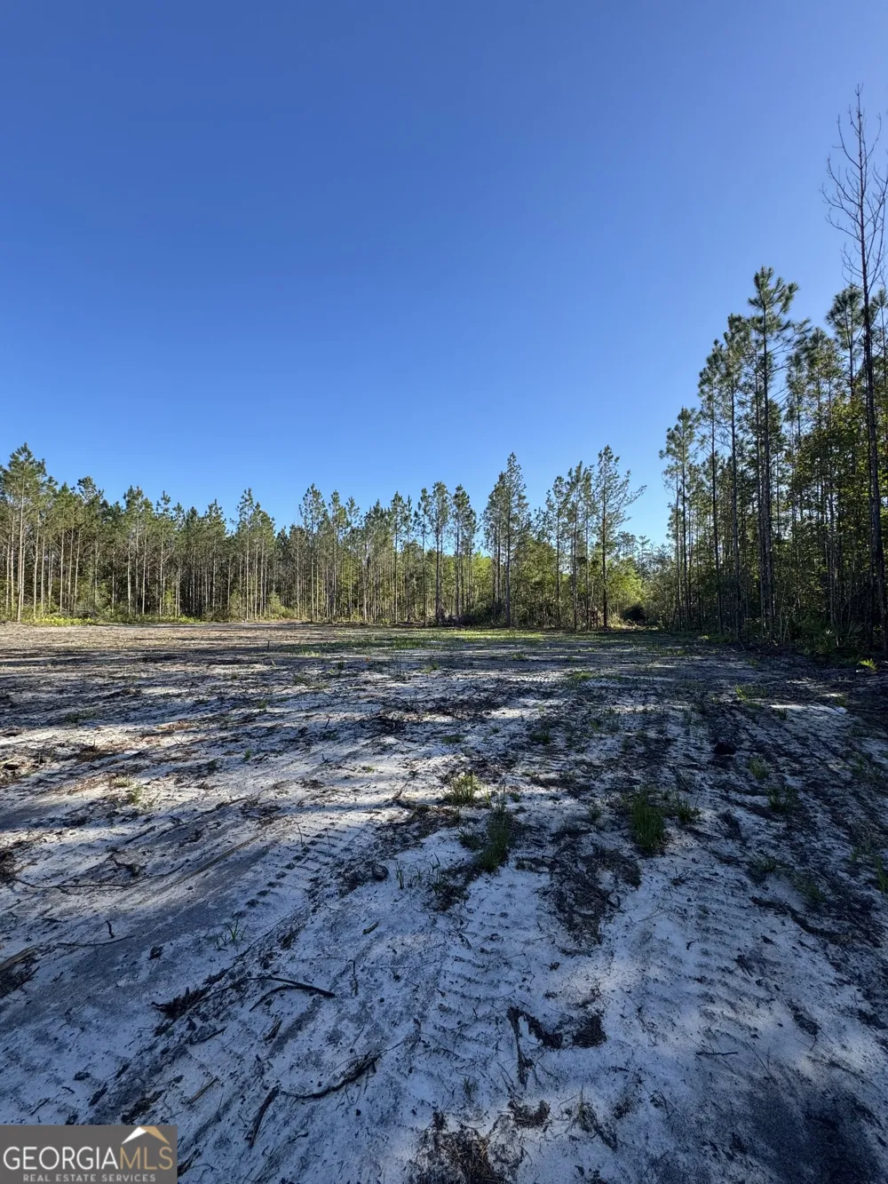 4490 Ga Highway 259 White Oak, GA 31568
