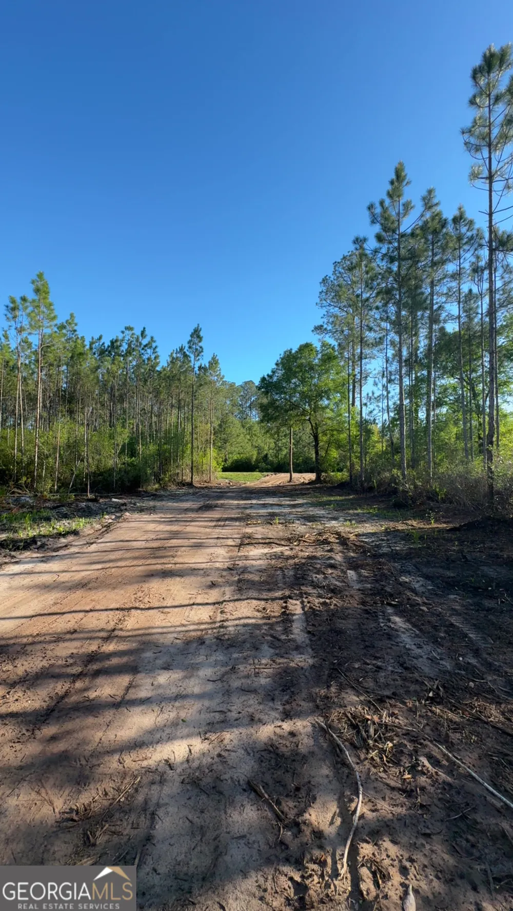 4490 Ga Highway 259 White Oak, GA 31568