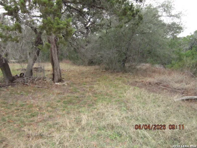 959 ALAMO BEACH RD Pipe Creek, TX 78063