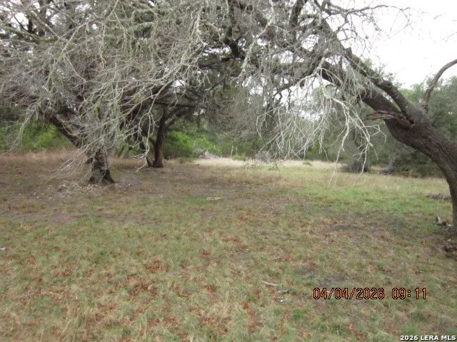 959 ALAMO BEACH RD Pipe Creek, TX 78063