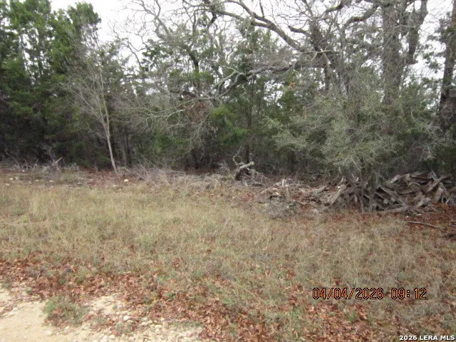 959 ALAMO BEACH RD Pipe Creek, TX 78063