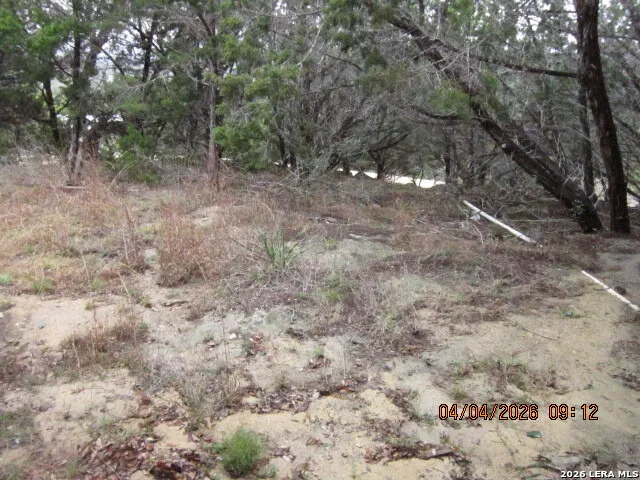 959 ALAMO BEACH RD Pipe Creek, TX 78063