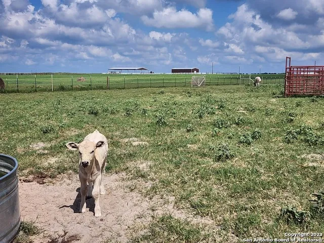 1208 COUNTY ROAD 317 La Vernia, TX 78121