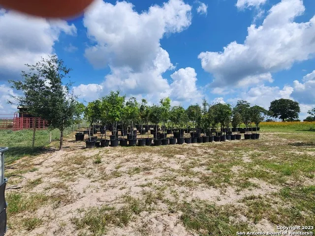 1208 COUNTY ROAD 317 La Vernia, TX 78121