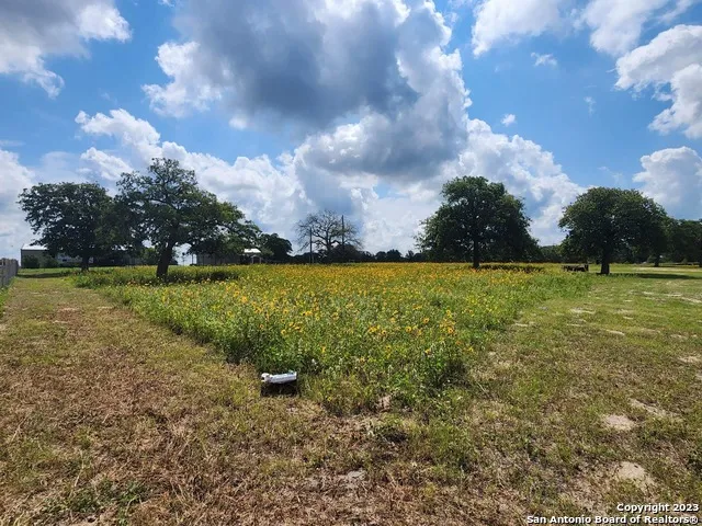 1208 COUNTY ROAD 317 La Vernia, TX 78121