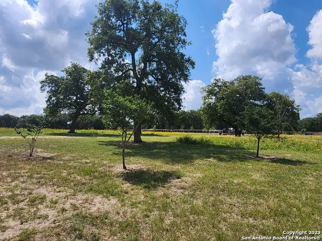 1208 COUNTY ROAD 317 La Vernia, TX 78121