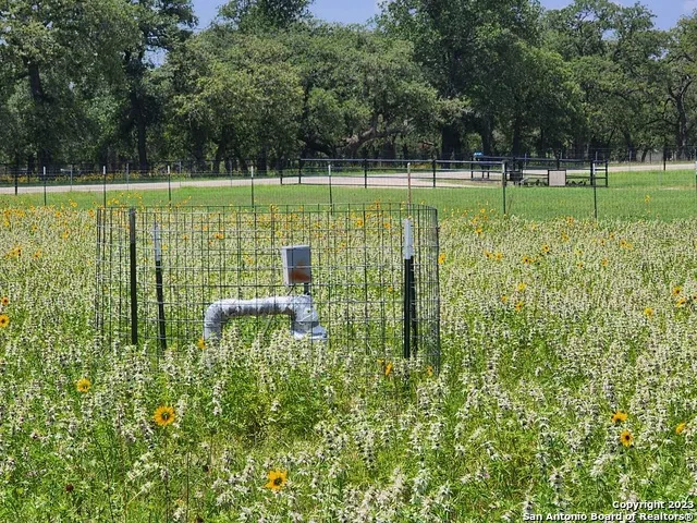 1208 COUNTY ROAD 317 La Vernia, TX 78121