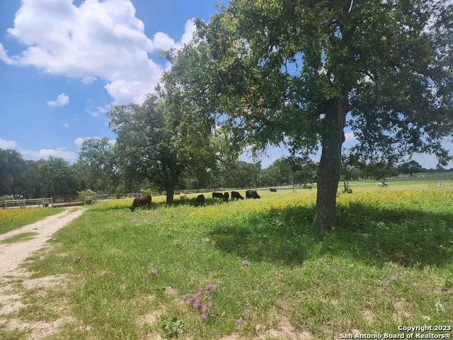 1208 COUNTY ROAD 317 La Vernia, TX 78121