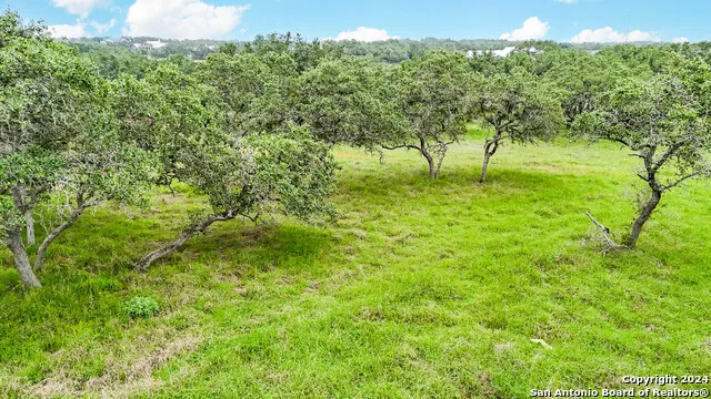 677 ANNABELLE AVE Bulverde, TX 78163