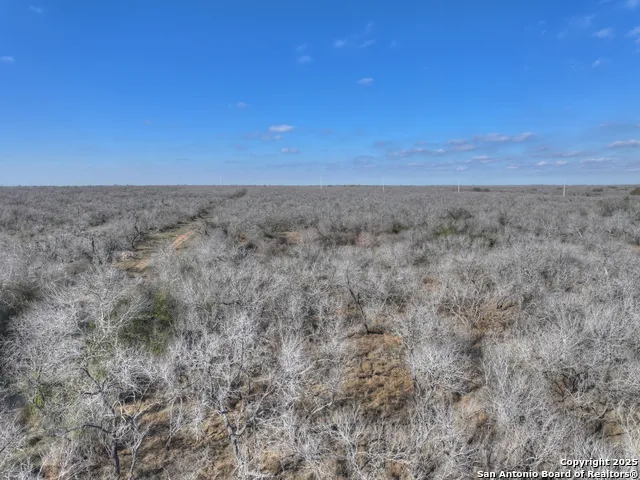 6093 Leal Pleasanton, TX 78064